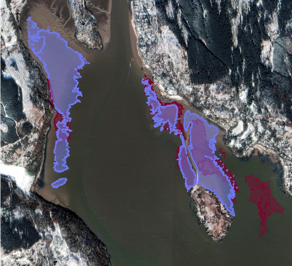 1. Rough Firth_Horse Isles 2024 report figure copy
